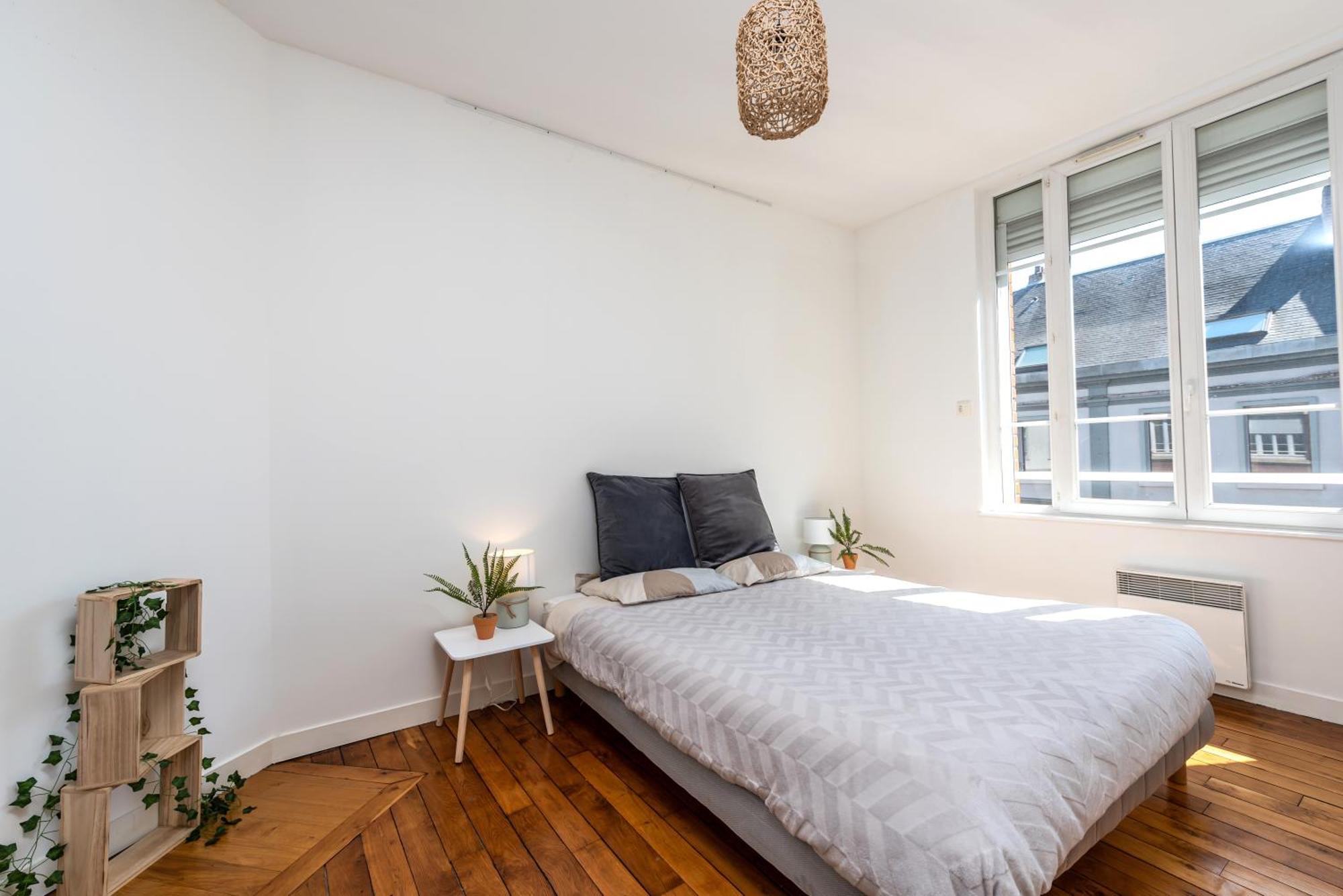 Le Jacobin / 1 Chambre - Netflix - Hyper Centre 아미앵 외부 사진